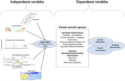 The Malaysian Food Barometer Open Database: An Invitation to Study the Modernization of Malaysian Food Patterns and Its Economic and Health Consequences